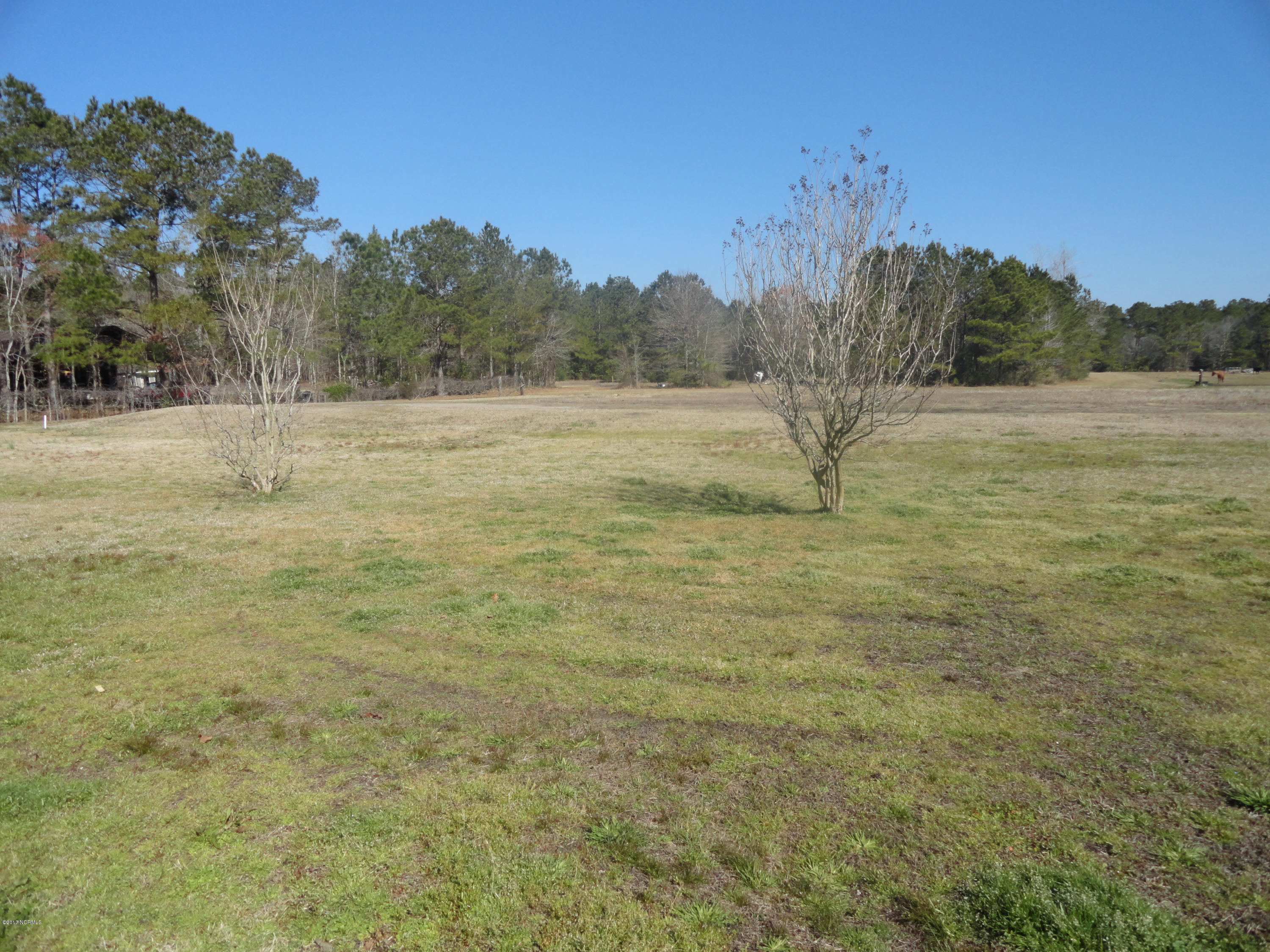 133 Thomas Loop Road Jacksonville, NC 28540 - Photo 19 of 20 DSC04406