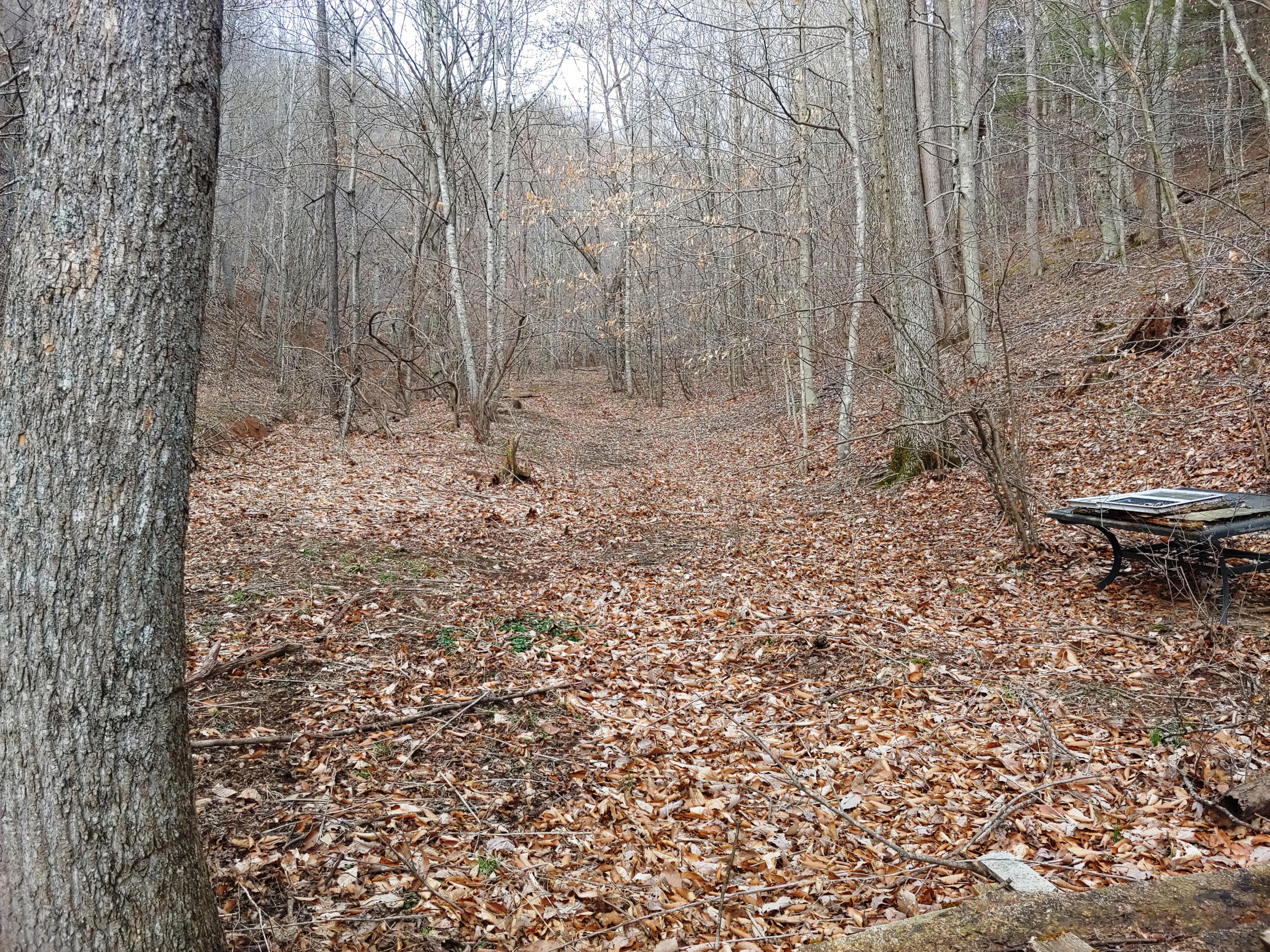 2830 Georges Run Road Shawsville, VA 24162 - Photo 9 of 16 0305201729