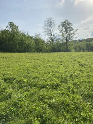 a view of outdoor space and yard