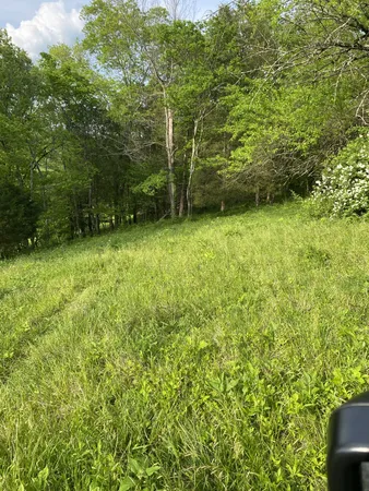 $210,500 | 0 Ables Lane, Pulaski, TN 38478