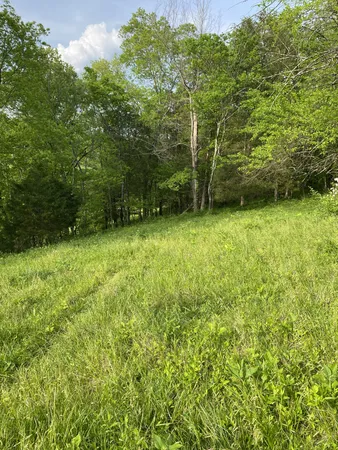 $210,500 | 0 Ables Lane, Pulaski, TN 38478