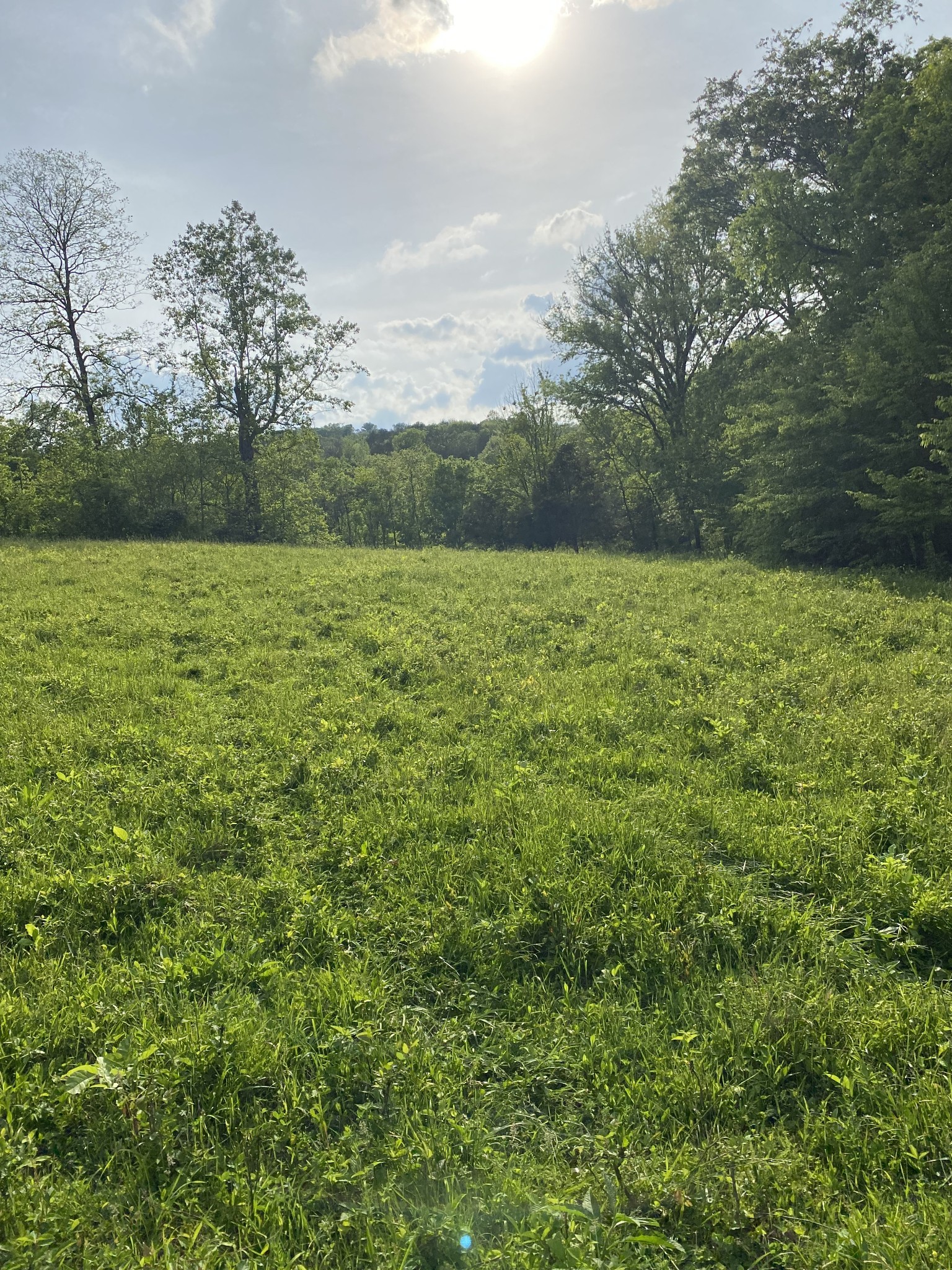 0 Ables Lane Pulaski, TN 38478 - Photo 15 of 17