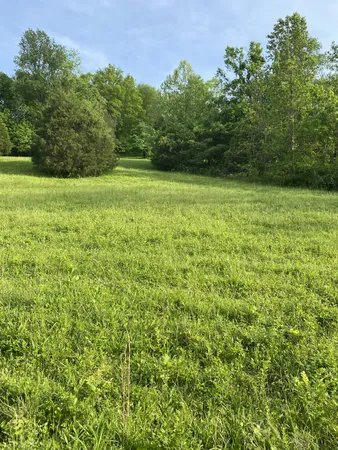 $210,500 | 0 Ables Lane, Pulaski, TN 38478