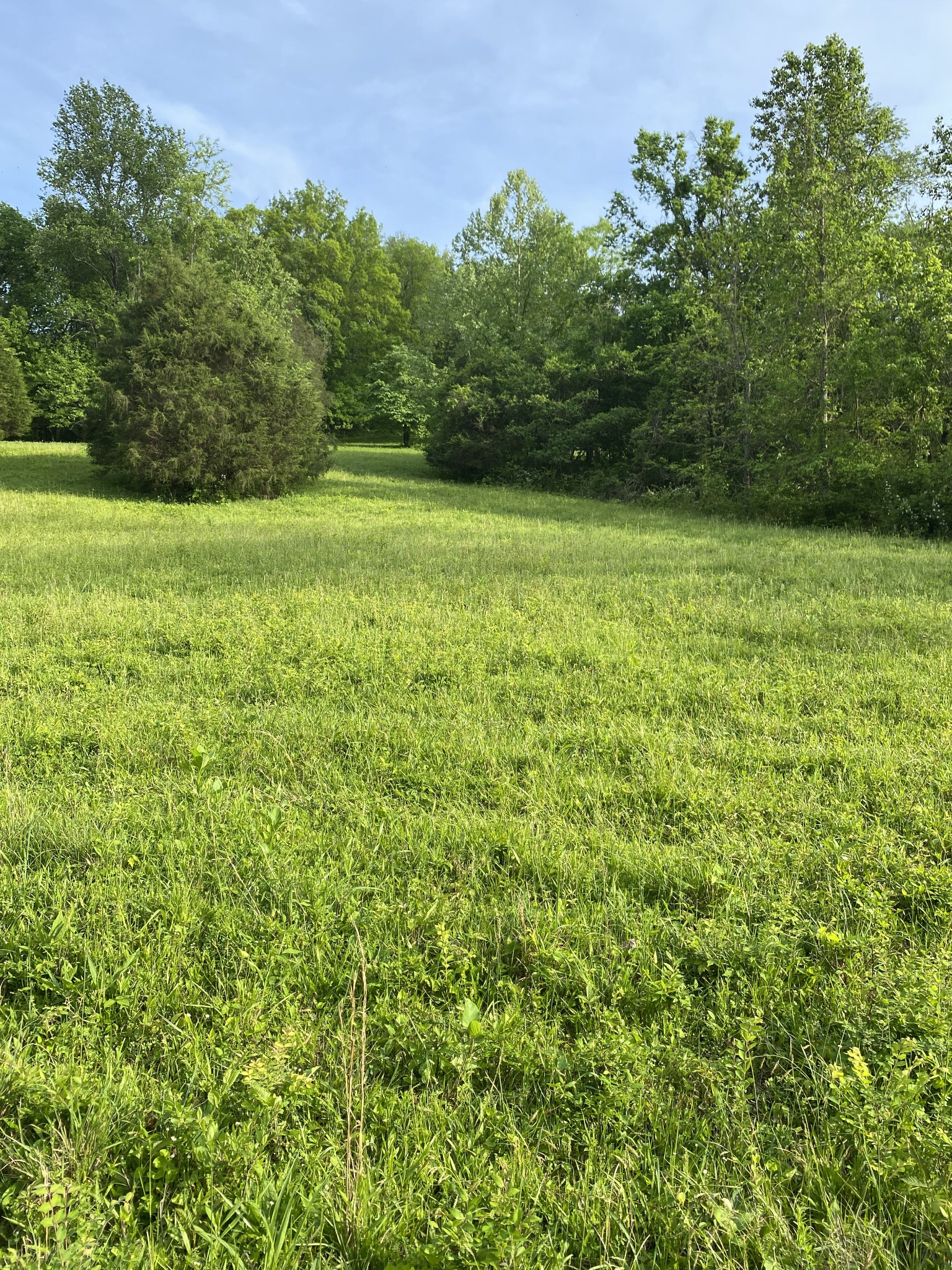 0 Ables Lane Pulaski, TN 38478 - Photo 16 of 17