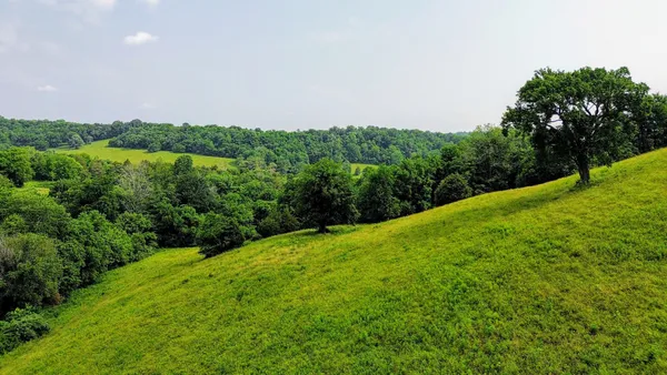 $210,500 | 0 Ables Lane, Pulaski, TN 38478