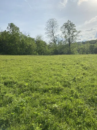 $210,500 | 0 Ables Lane, Pulaski, TN 38478