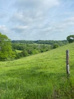 0 Ables Lane Pulaski, TN 38478 - Photo 10 of 17