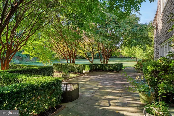 a view of backyard with green space