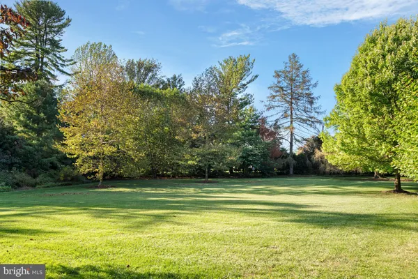 a view of a garden with plants