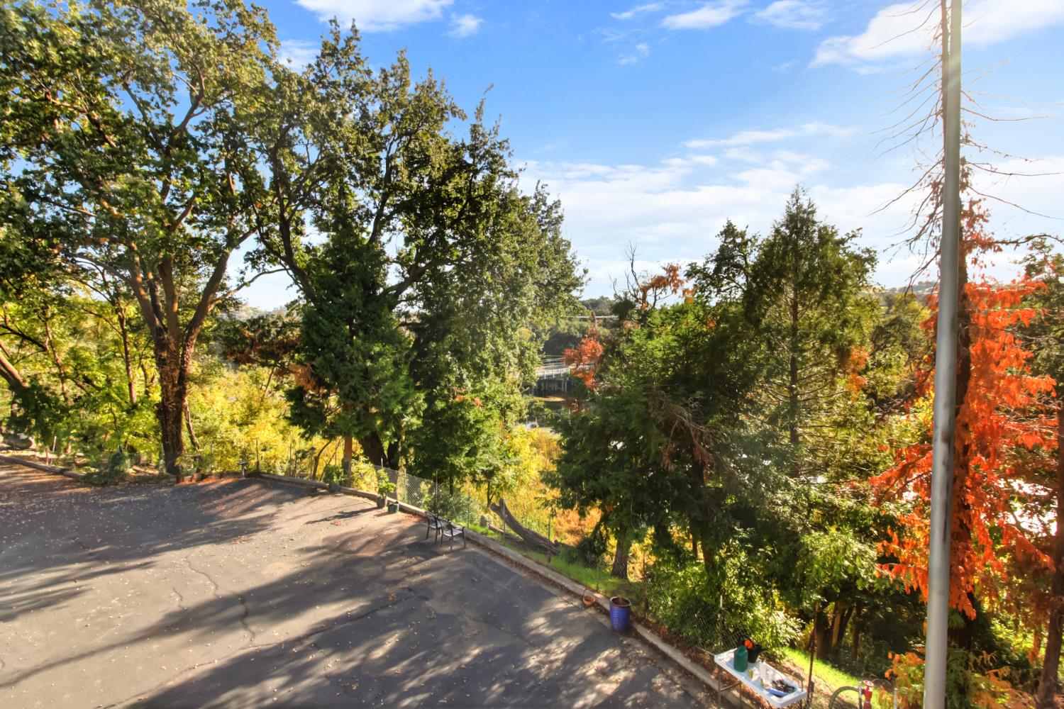 30640 County Road 86 Winters, CA 95694 - Photo 42 of 87 a view of road and trees