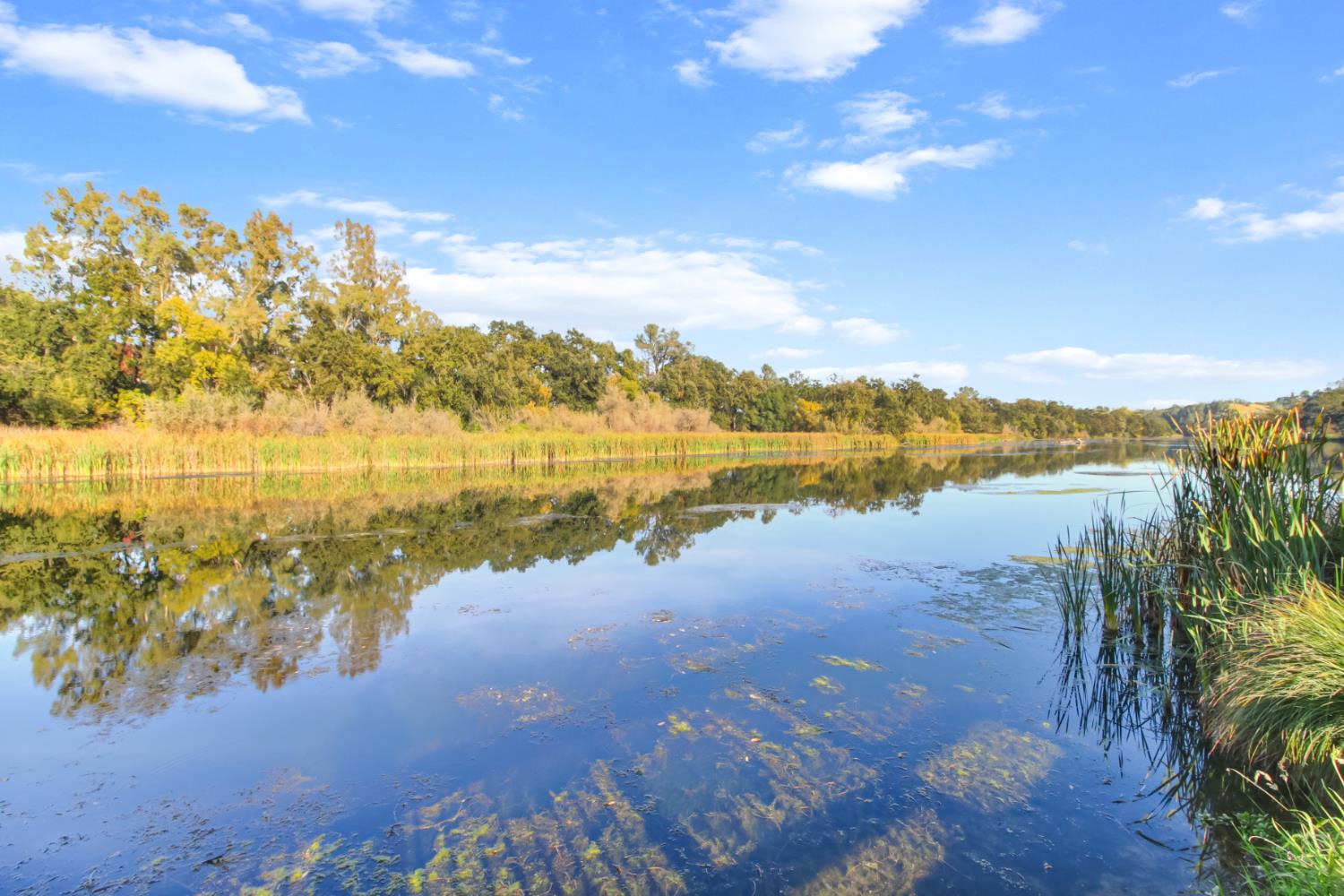 30640 County Road 86 Winters, CA 95694 - Photo 71 of 87 a view of a lake with houses in the back