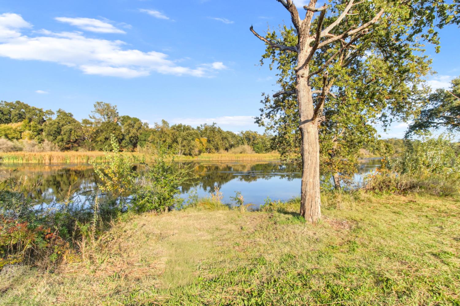 30640 County Road 86 Winters, CA 95694 - Photo 77 of 87 Lake Solano County Park