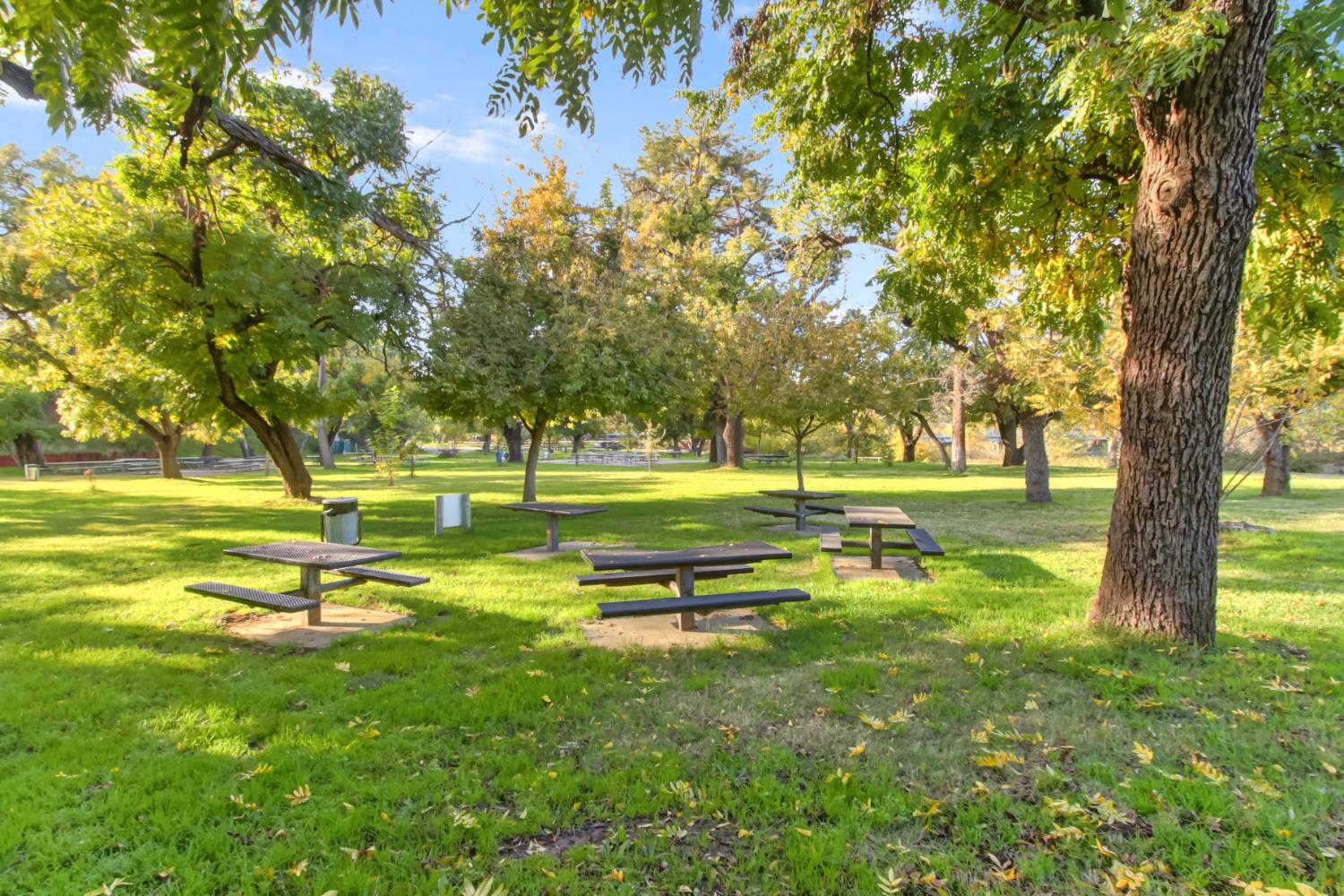 30640 County Road 86 Winters, CA 95694 - Photo 79 of 87 Lake Solano County Park