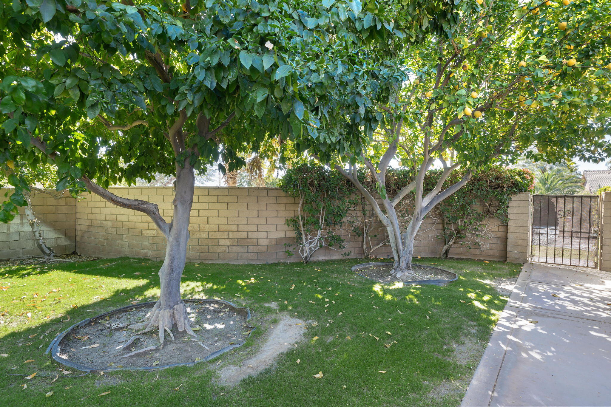 78380 Hope Bay Road Bermuda Dunes, CA 92203 - Photo 27 of 30 28-web-or-mls-FREHope0321_028