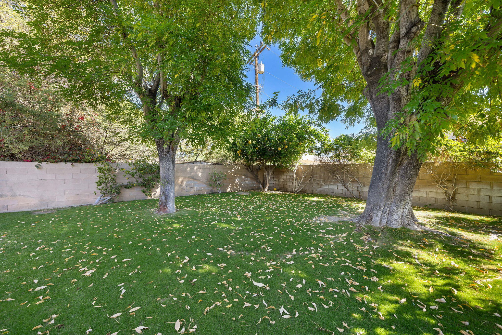 78380 Hope Bay Road Bermuda Dunes, CA 92203 - Photo 28 of 30 29-web-or-mls-FREHope0321_029