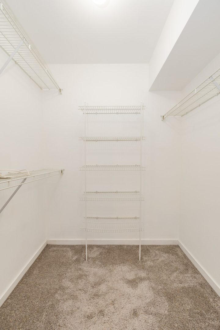 1812 South Federal Street, Unit 16 Chicago, IL 60616 - Photo 28 of 32 a view of an empty walk in closet