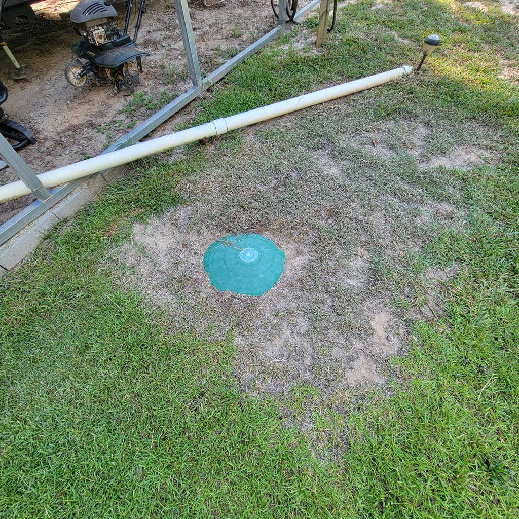 10355 County Road 97 Abbeville, AL 36310 - Photo 10 of 16