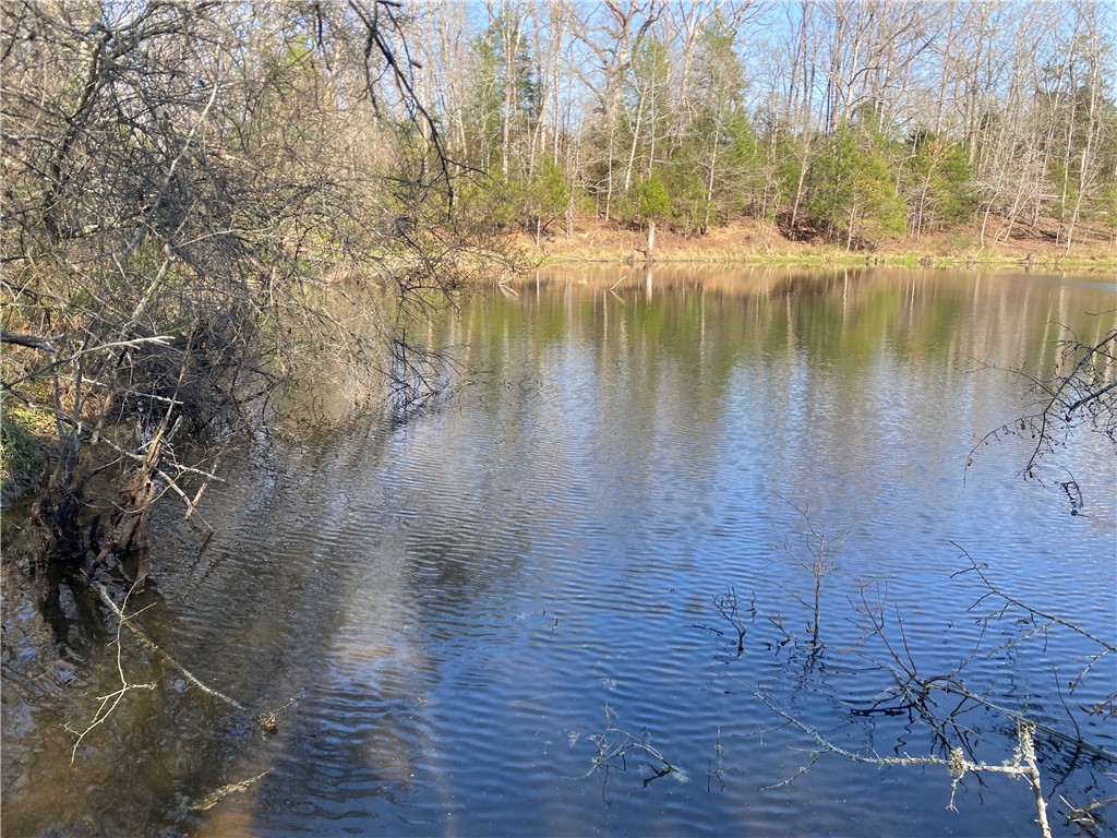 0 Abercrombie Road Honea Path, SC 29654 - Photo 1 of 18 This serene waterfront property offers tranquil views and natural beauty, perfect for a peaceful retreat.