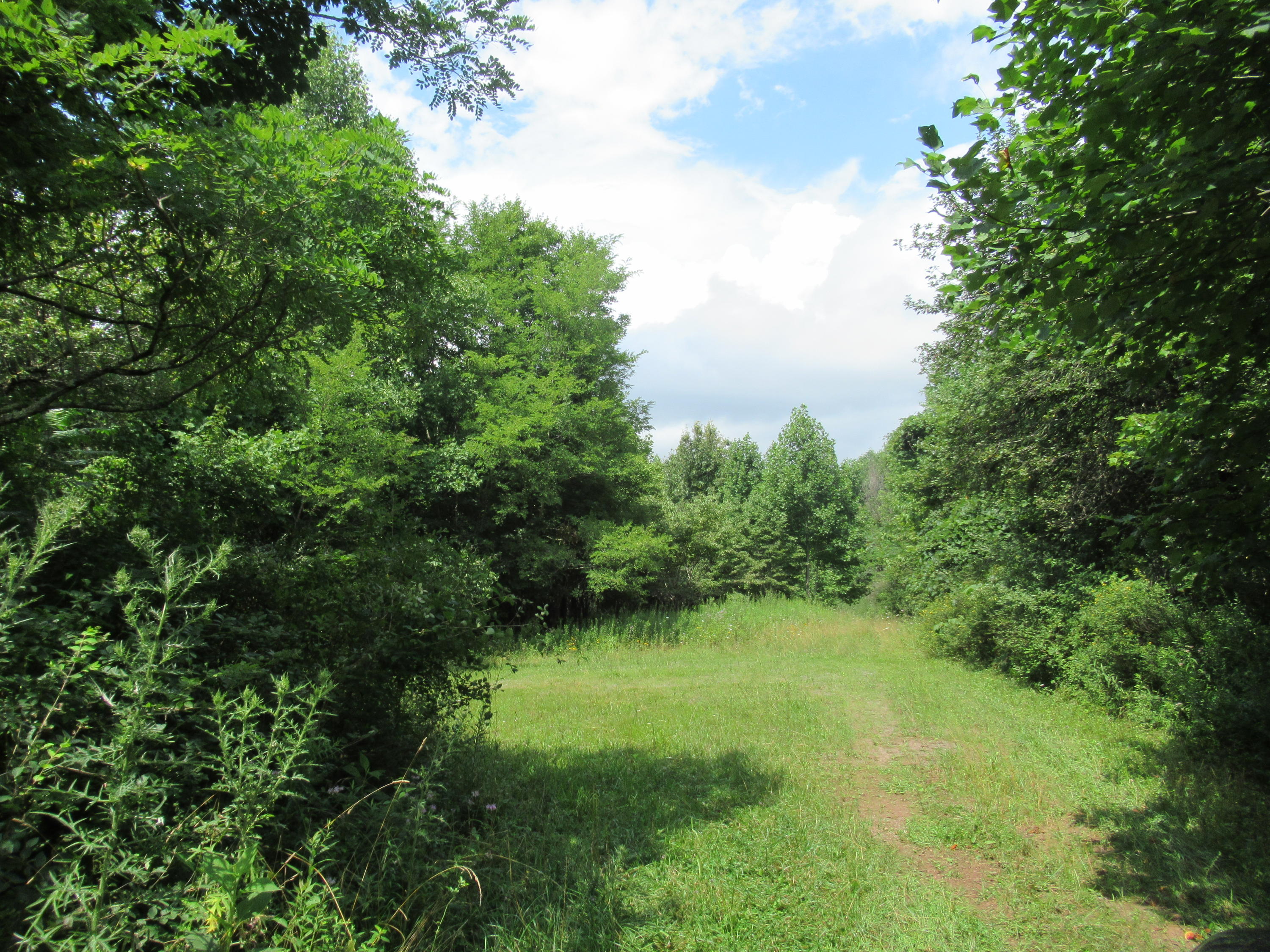 South Ridge Lane Alderson, WV 24910 - Photo 2 of 9 Gallery Image 2