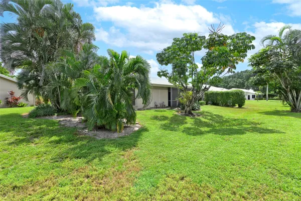a view of a garden with plants and large trees
