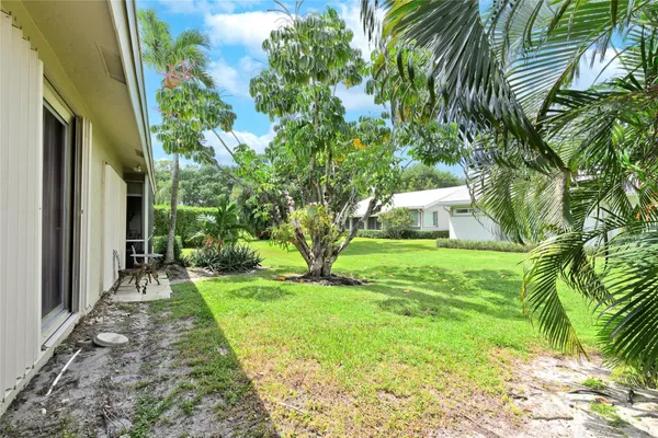 a view of a yard with plants and large trees