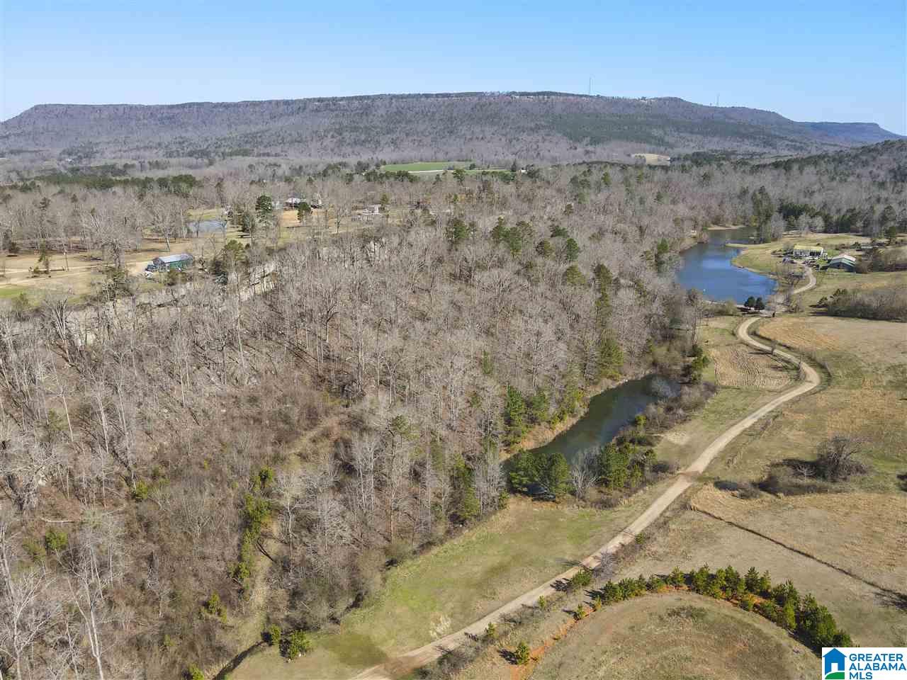 39080 Highway 231 Steele, AL 35987 - Photo 21 of 37