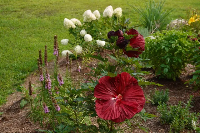 $499,000 | 297 Railroad Street, Johnson, VT 05656