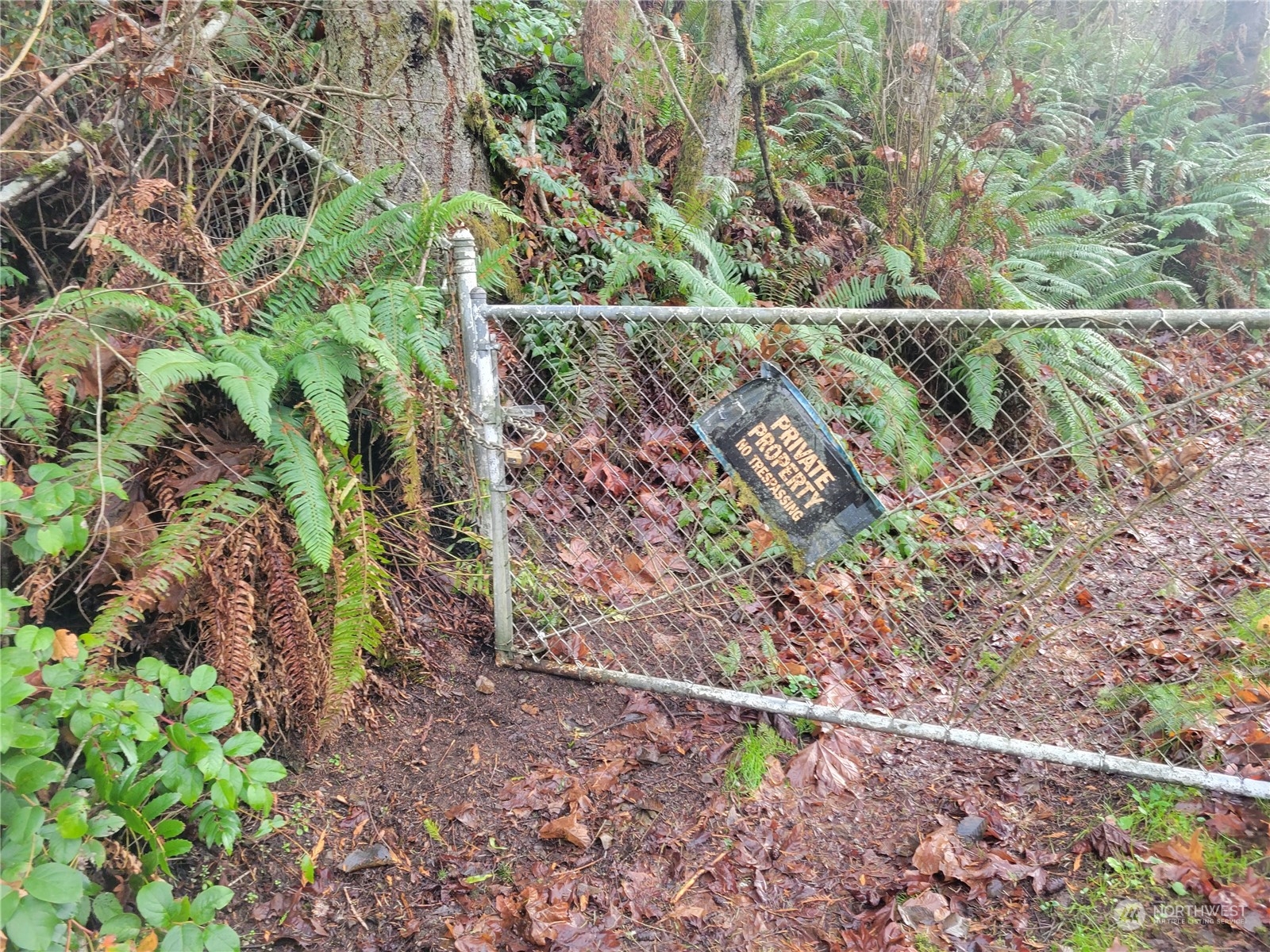 11501 State Rte 20 Port Townsend, WA 98368 - Photo 2 of 6 Gallery Image 2