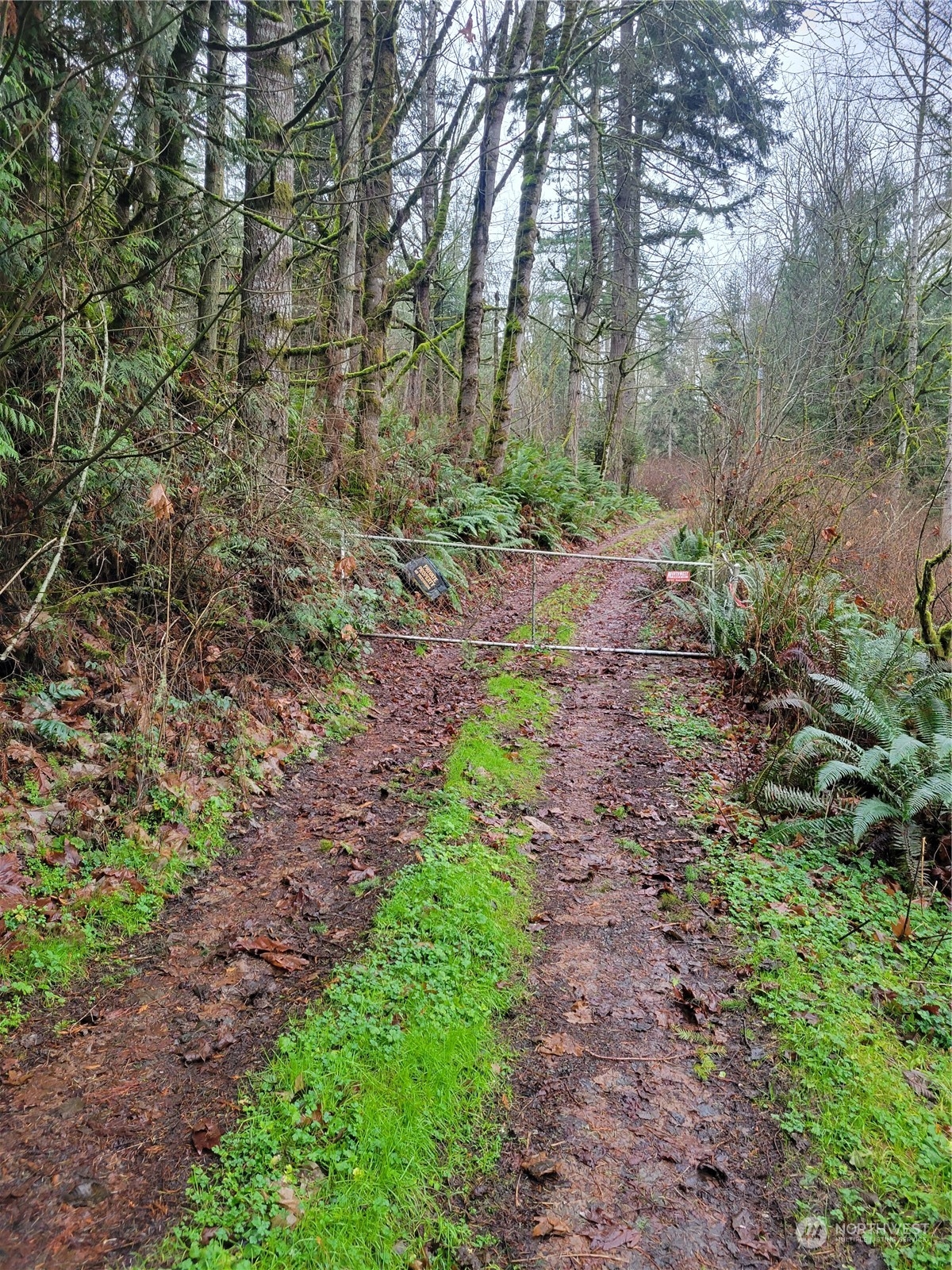 11501 State Rte 20 Port Townsend, WA 98368 - Photo 5 of 6 Gallery Image 5