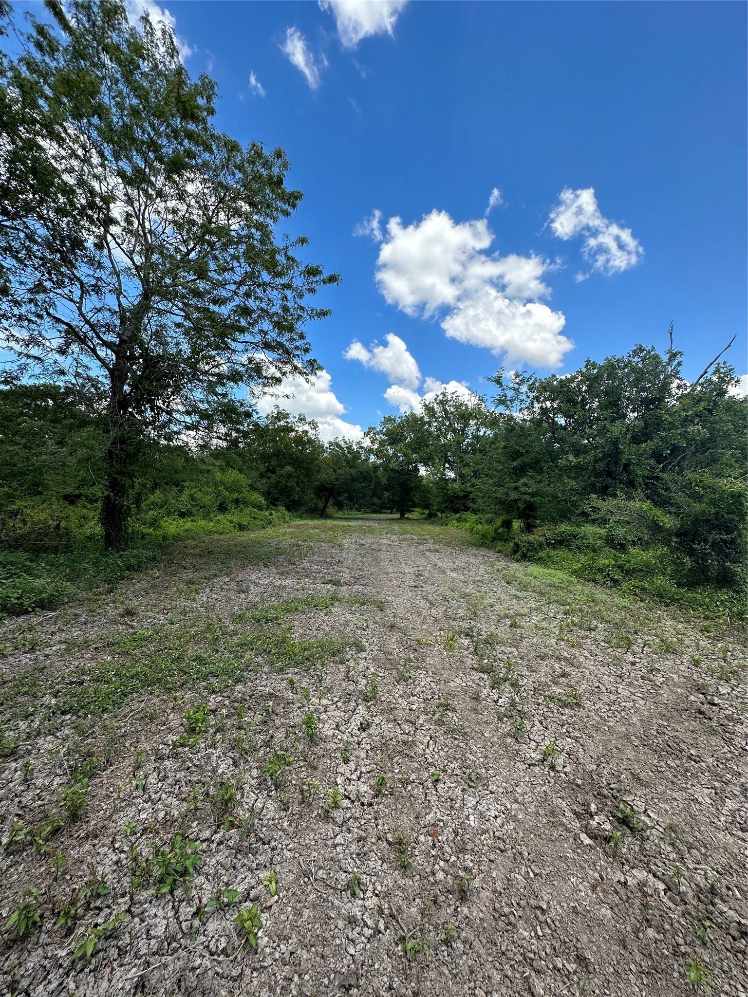 Tbd Tbd Navasota Ridge Road Navasota, TX 77868 - Photo 4 of 12 Gallery Image 4