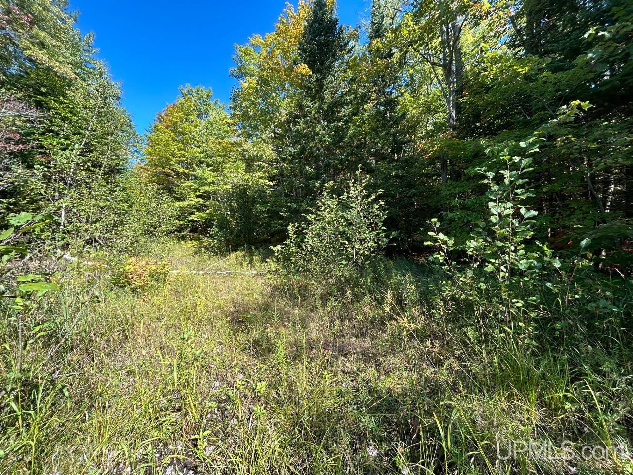 40-acres 40-acres Camp Road Shingleton, MI 49884 - Photo 2 of 20