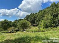 108 Lanning Road Clyde, NC 28721 - Photo 2 of 10 a view of a bunch of trees