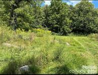108 Lanning Road Clyde, NC 28721 - Photo 4 of 10 a view of a yard with plants and wooden fence