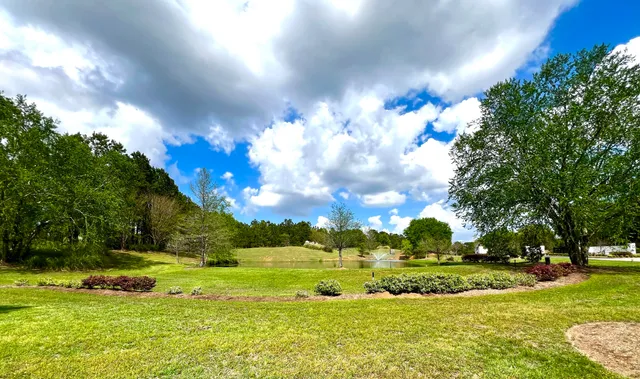 $35,000 | 147 Twisted Oak Trail, Elloree, SC 29047