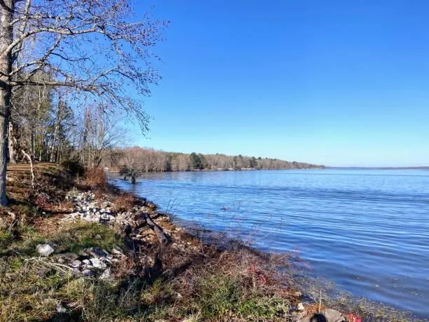 $35,000 | 147 Twisted Oak Trail, Elloree, SC 29047