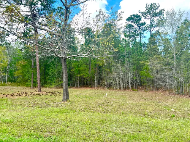 $35,000 | 147 Twisted Oak Trail, Elloree, SC 29047