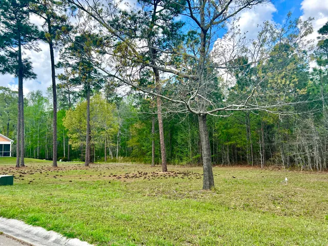 $35,000 | 147 Twisted Oak Trail, Elloree, SC 29047