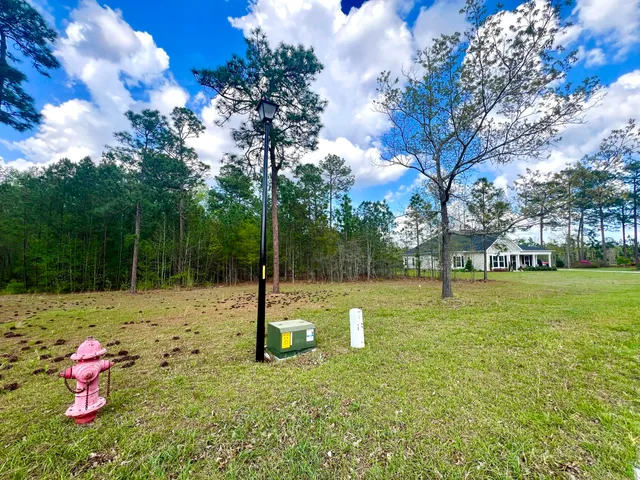 $35,000 | 147 Twisted Oak Trail, Elloree, SC 29047