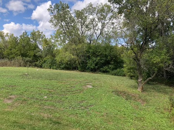 a view of a field with a tree