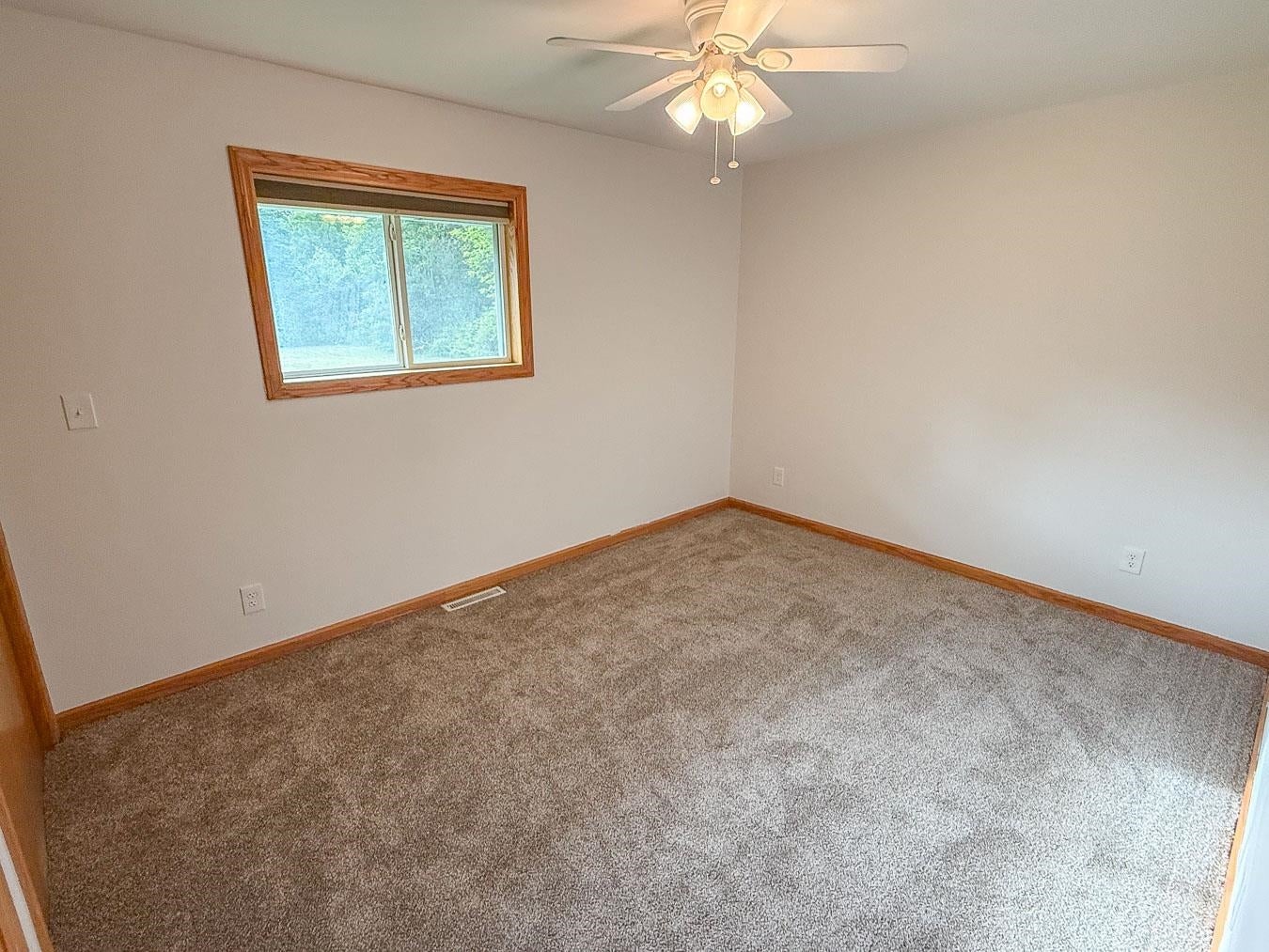 3664 North Geneva Road Coleman, MI 48618 - Photo 28 of 50 Gallery Image 28