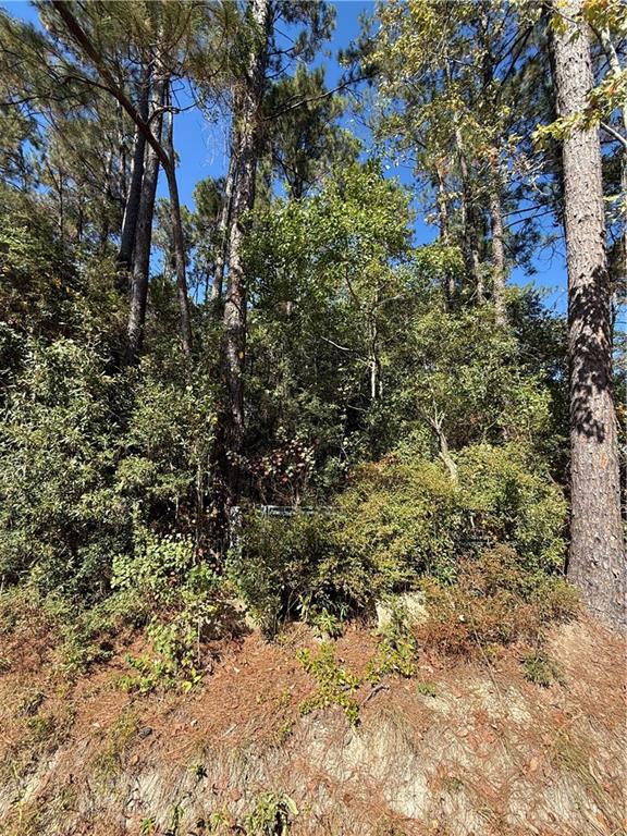 0 Baham Road Covington, LA 70433 - Photo 2 of 5