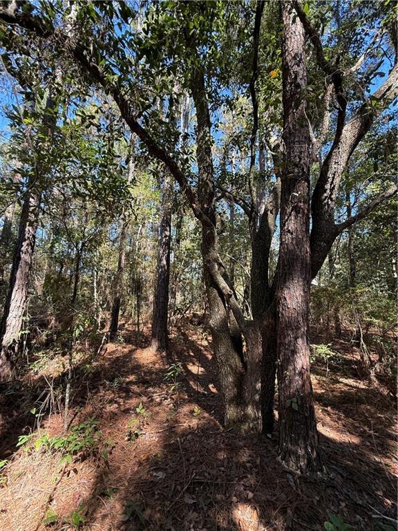 0 Baham Road Covington, LA 70433 - Photo 3 of 5