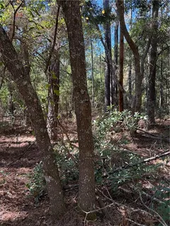 $55,000 | 0 Baham Road, Covington, LA 70433