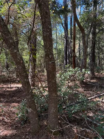 $55,000 | 0 Baham Road, Covington, LA 70433