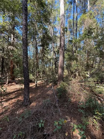 $55,000 | 0 Baham Road, Covington, LA 70433