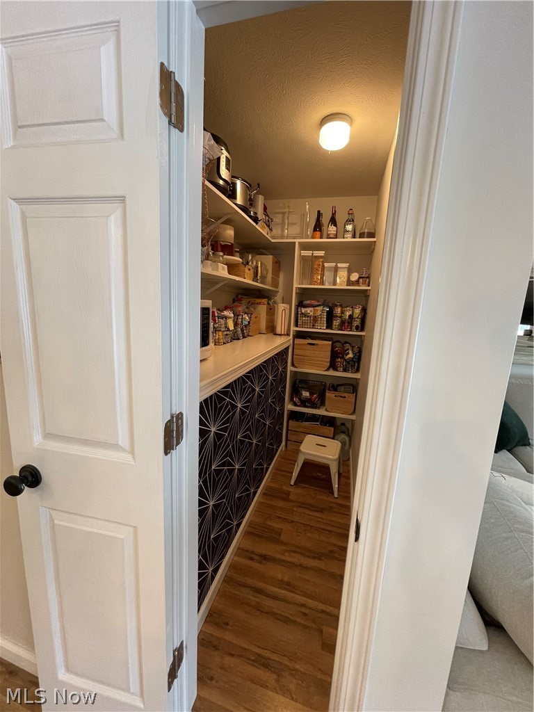 6172 Stone Road Hudson, OH 44236 - Photo 7 of 25 Walk-in pantry.