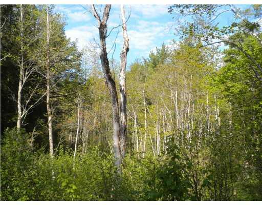 Lot 1 Beaver Dam Road New Gloucester, ME 04260 - Photo 3 of 7 Exterior Front. fire pond area