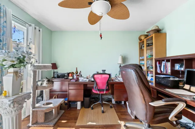 a backyard of a house with large trees and plants
