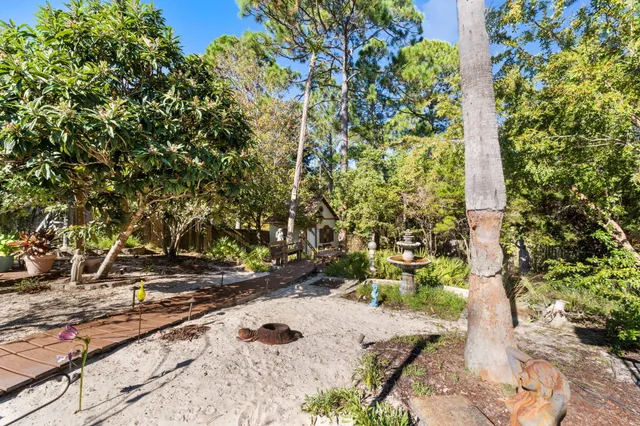 a view of a yard with plants