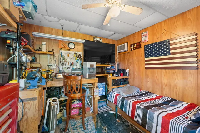 a view of a garden with plants and a bench